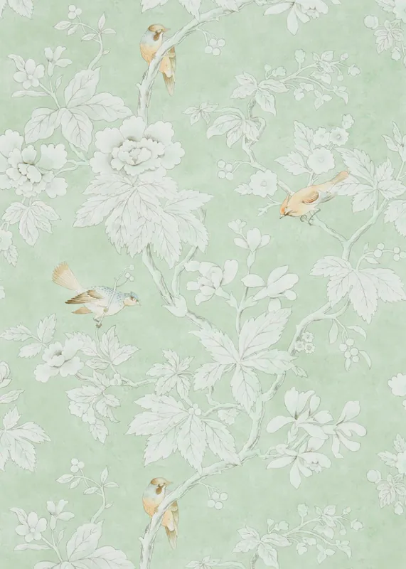 Premium Sanderson - Chiswick Grove Sage Chiswick Grove Wallpapers