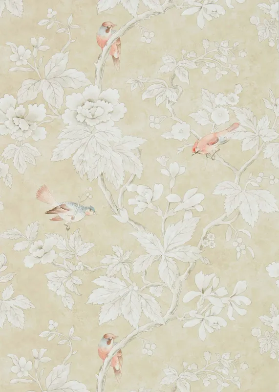 Köp online Sanderson - Chiswick Grove Gold Chiswick Grove Wallpapers
