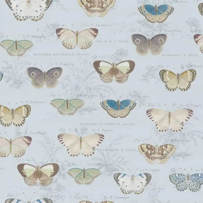 Butterfly Studies Picture Book Wallpapers I Erbjudandepris
