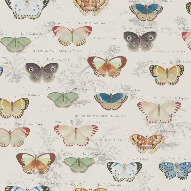 Snabb leverans Butterfly Studies Picture Book Wallpapers I