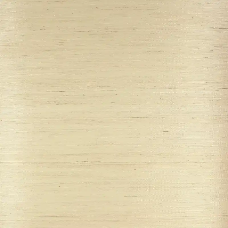 Lågt pris Colefax and Fowler - Grasscloth Silver Birch