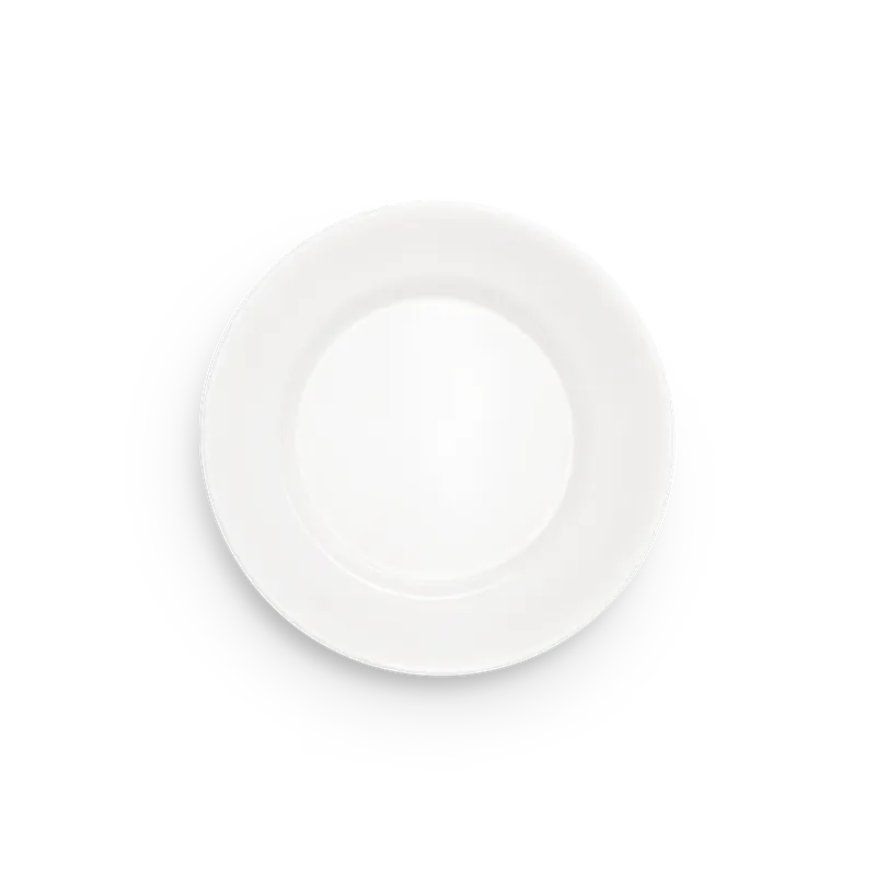 Basic Tallrik Orange 25cm risnedsättning