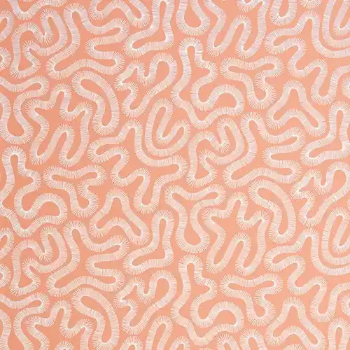 Populär Midbec Tapeter - Coral Peach