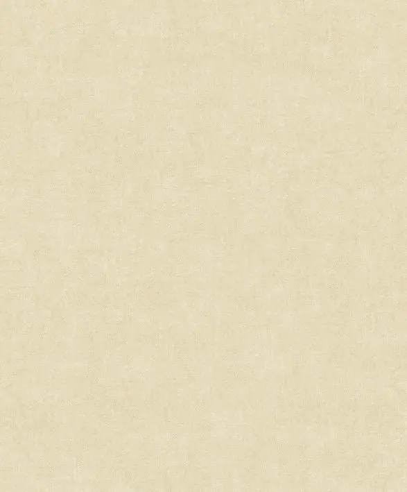 Begränsat erbjudande Casadeco - Empreinte Beige Pierre Riverside 4