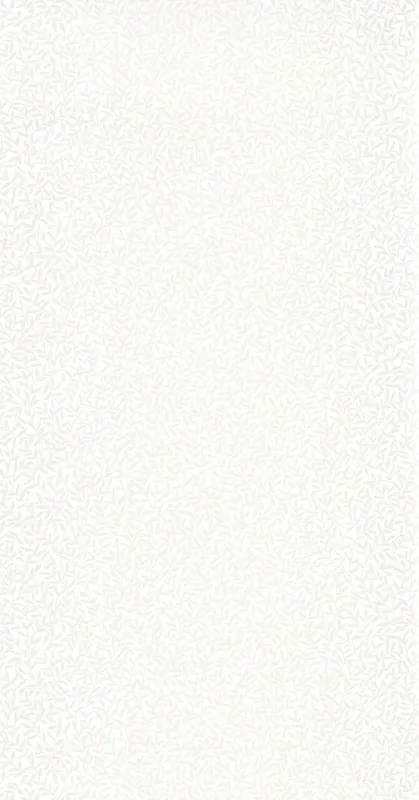 Casadeco - So White 4 Abigail Beige So White 4 Lågt pris