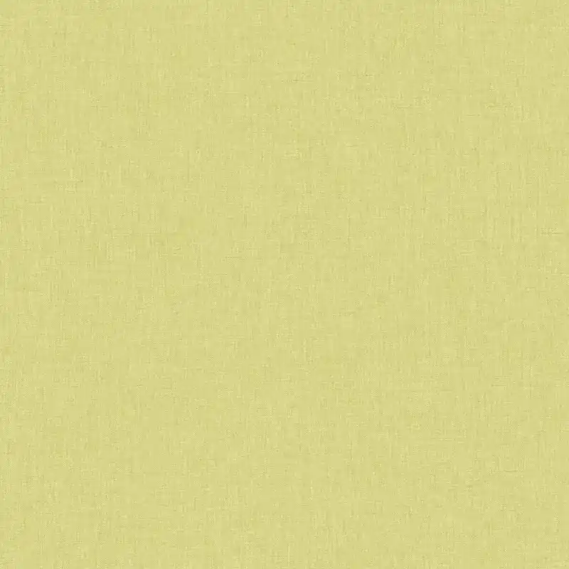 Sänkt pris Caselio - Linen Uni Vert Anis Moyen
