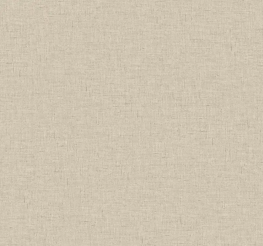 Carma - Theodore Premium